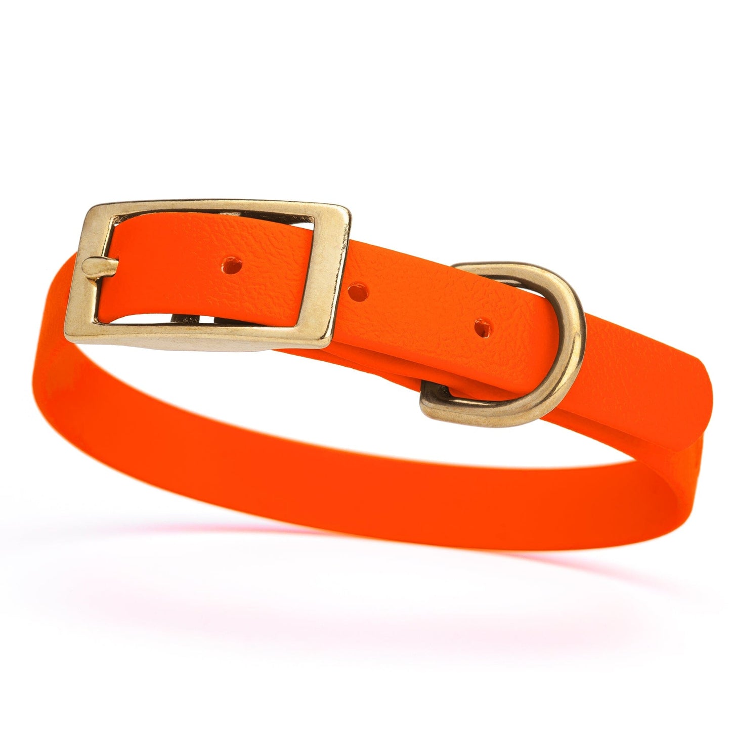 Viper Biothane Waterproof Dog Collar - Brass Hardware - Size S (12 to 15 inches)