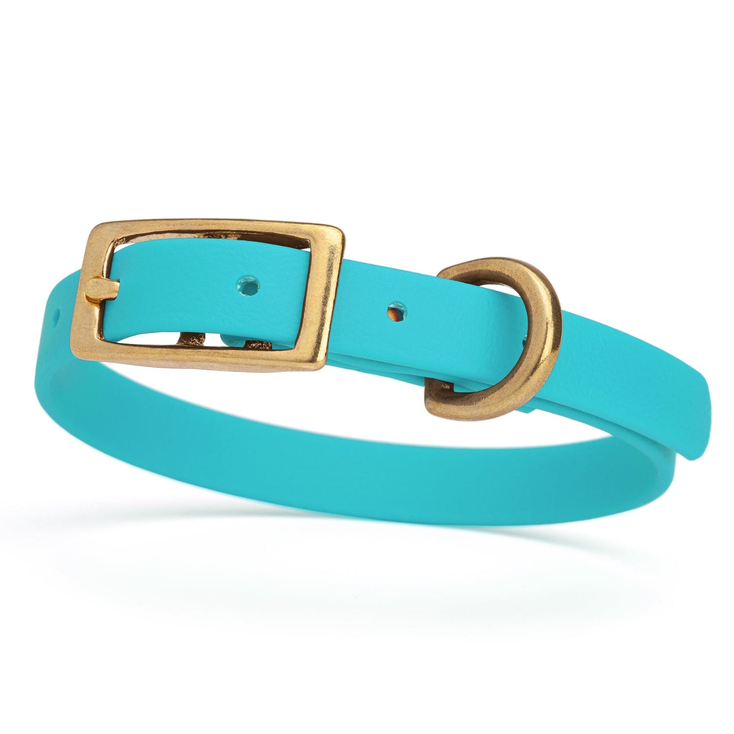 Viper Biothane Waterproof Dog Collar - Brass Hardware - Size XS (9 to 12 inches)