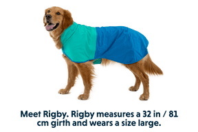 Sun Shower Dog Raincoat