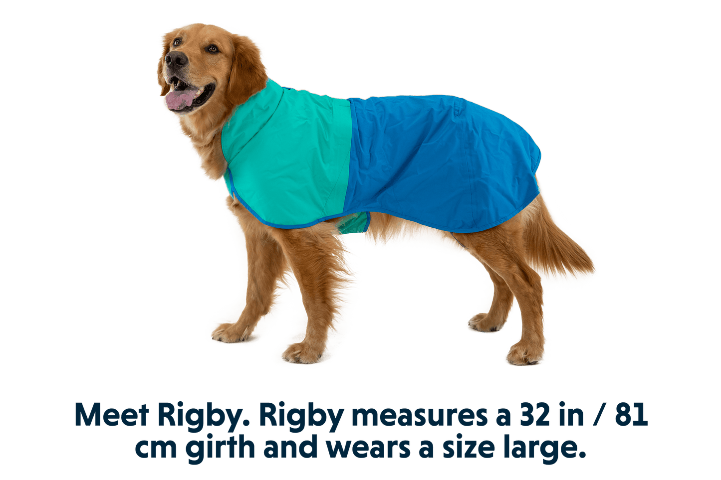 Sun Shower Dog Raincoat