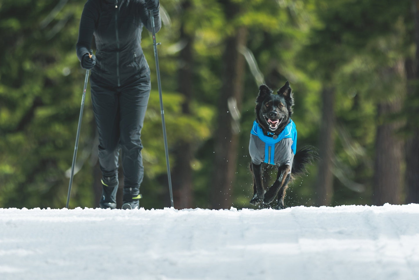 Vert™ Coverall Dog Snow Suit - Waterproof, Insulated Coverall