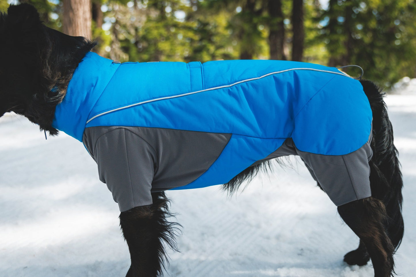 Vert™ Coverall Dog Snow Suit - Waterproof, Insulated Coverall