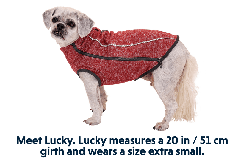hemp dog winter sweaters Ruffwear Hemp Hound fired brick red