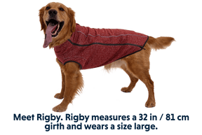 hemp dog sweaters Ruffwear Hemp Hound worn by golden retriever fired brick color red