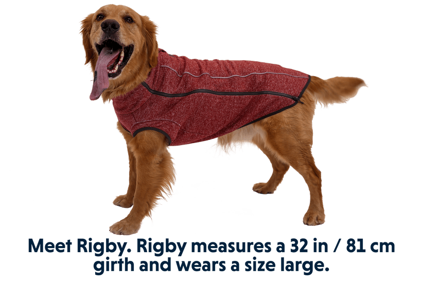 hemp dog sweaters Ruffwear Hemp Hound worn by golden retriever fired brick color red