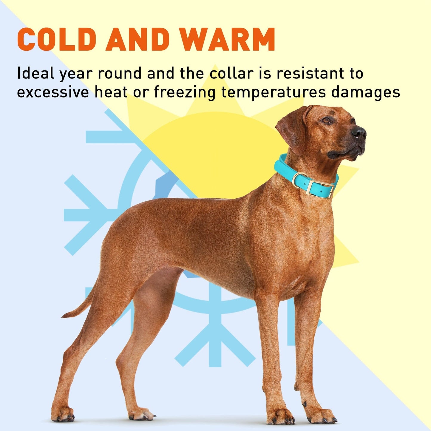 Viper Biothane Waterproof Dog Collar - Brass Hardware - Size M (15 to 18 inches)