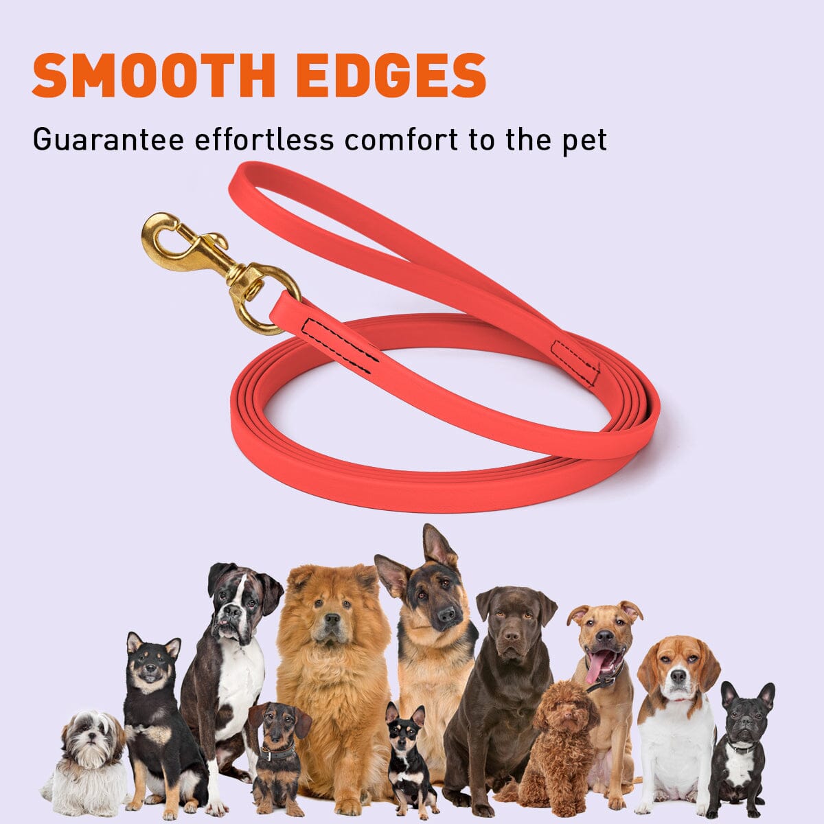 Biothane Long Line 20 ft Lead with Brass Hardware