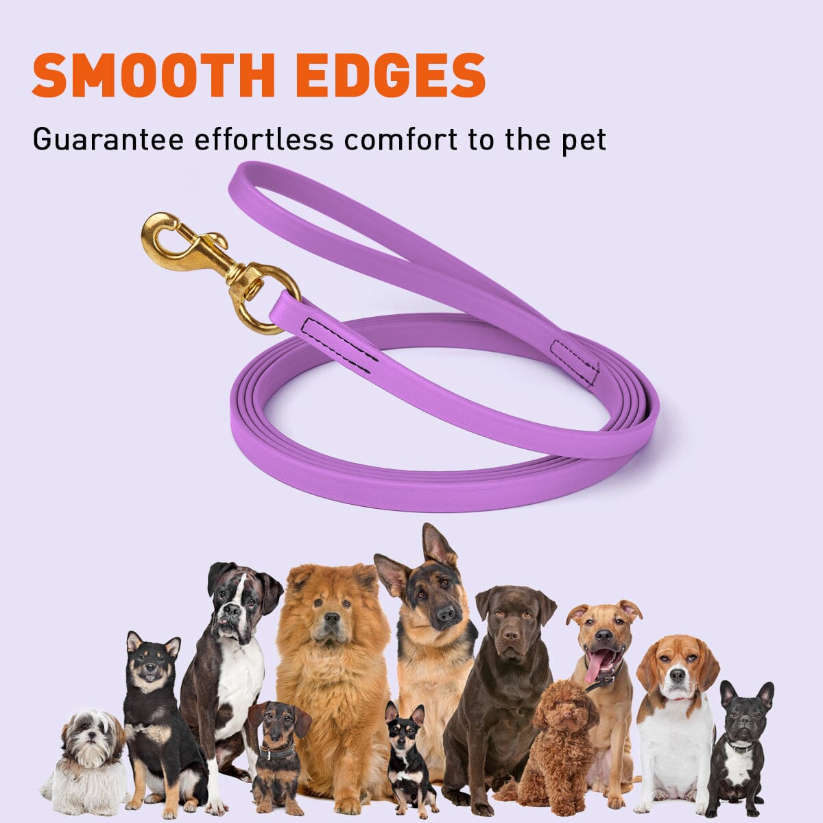 Biothane Long Line 10 ft Lead with Brass Hardware