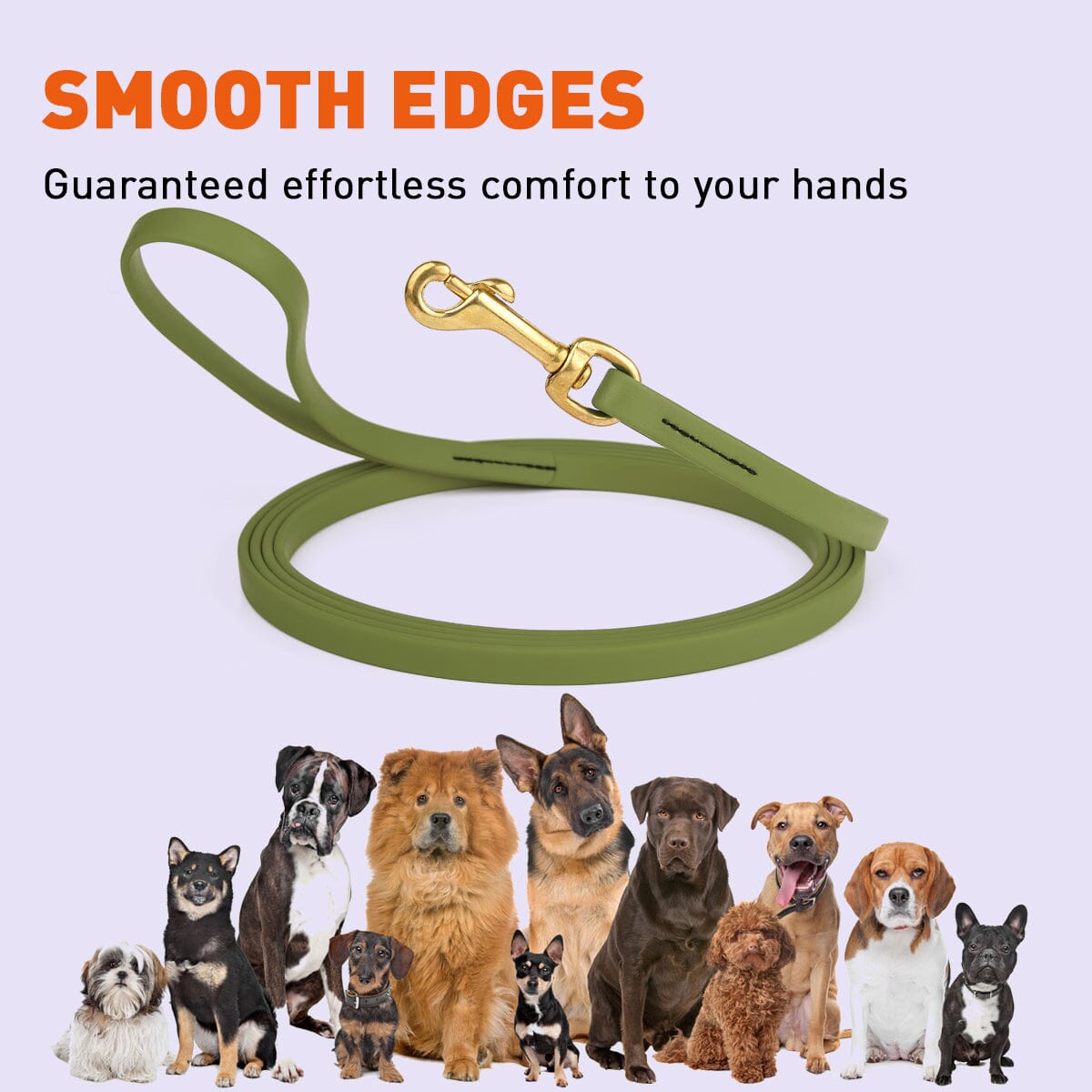 Biothane Long Line 33 ft Lead with Brass Hardware