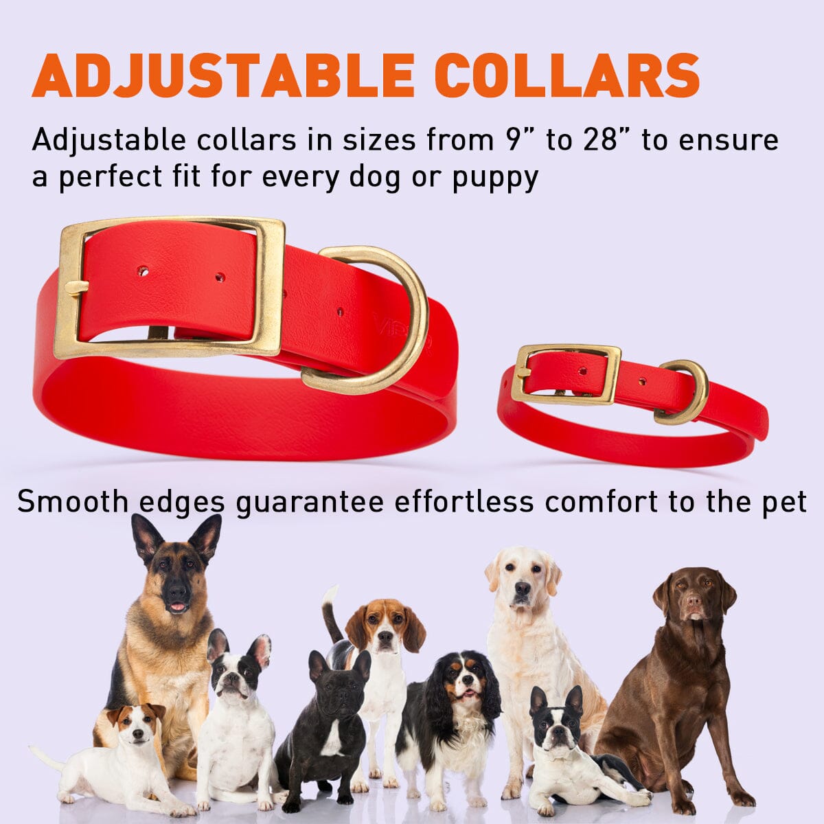 Biothane Waterproof Dog Collar - Brass Hardware - 1.5in Wide - Size XXL (24" - 28" Neck)