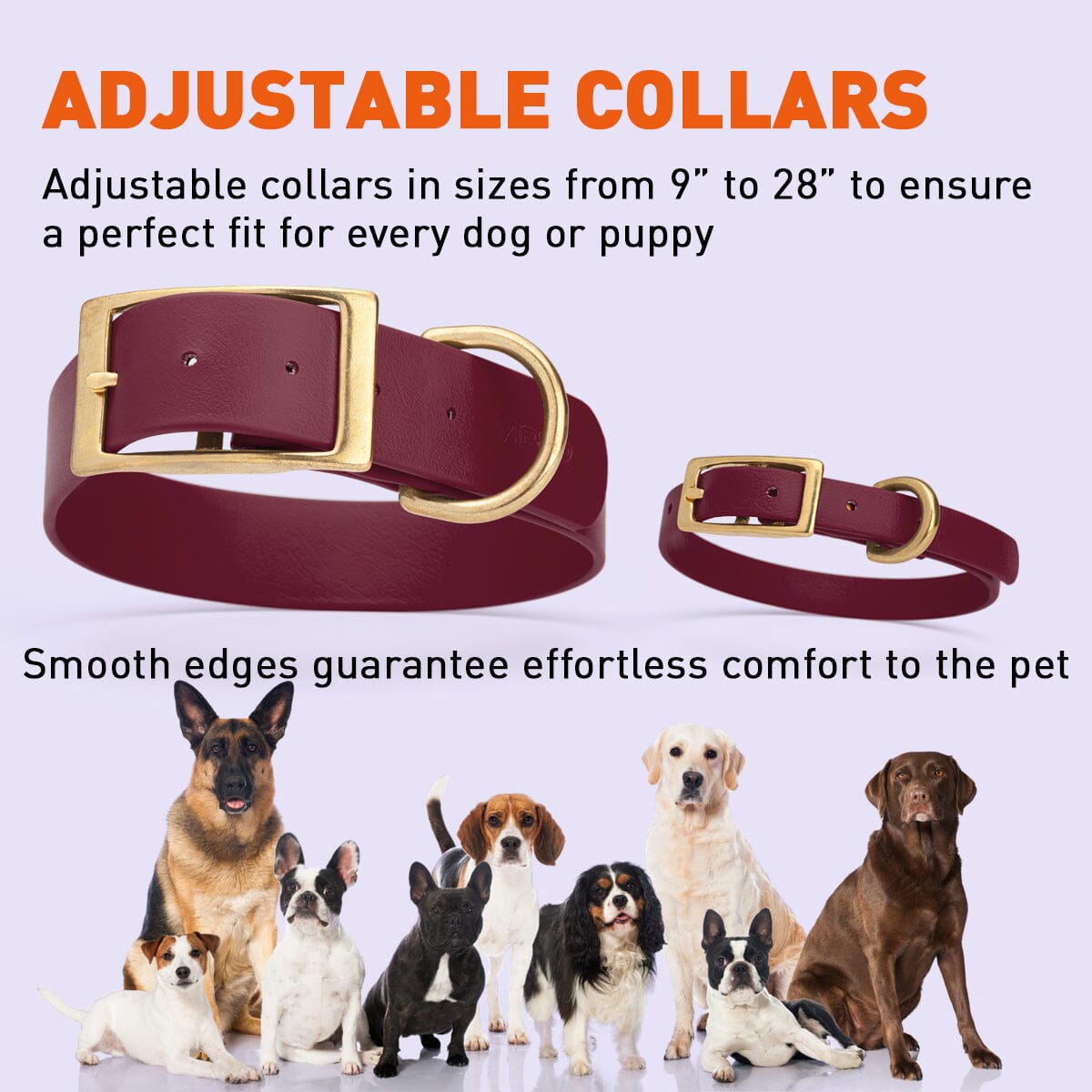 Biothane Waterproof Dog Collar - Brass Hardware - Size XL (22" - 25" Neck)