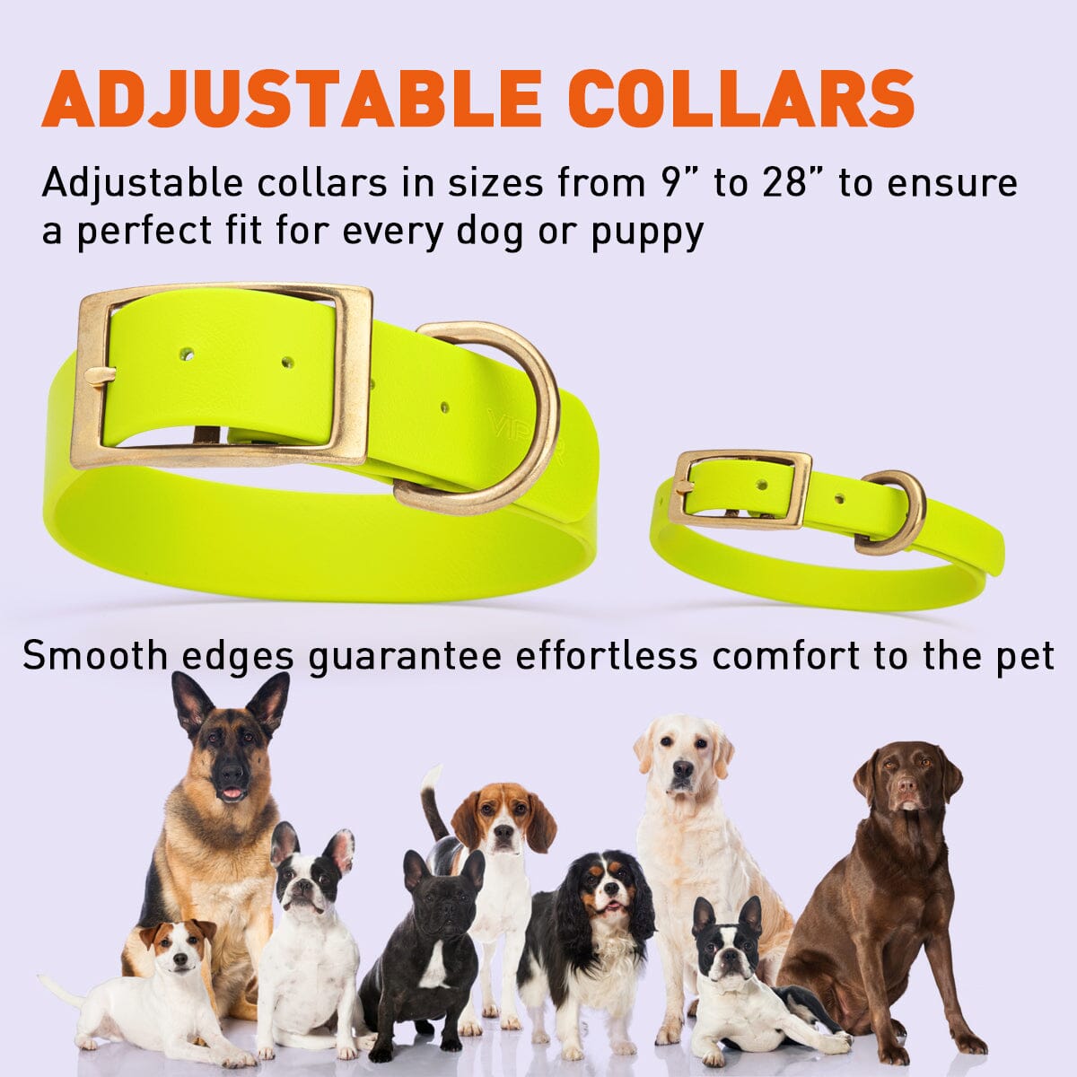 Biothane Waterproof Dog Collar - Brass Hardware - Size L (18" - 22" Neck)