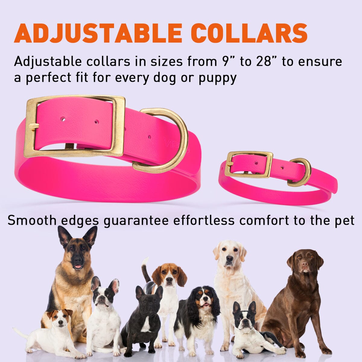 Biothane Waterproof Dog Collar - Brass Hardware - Size XS (9" - 12" Neck)