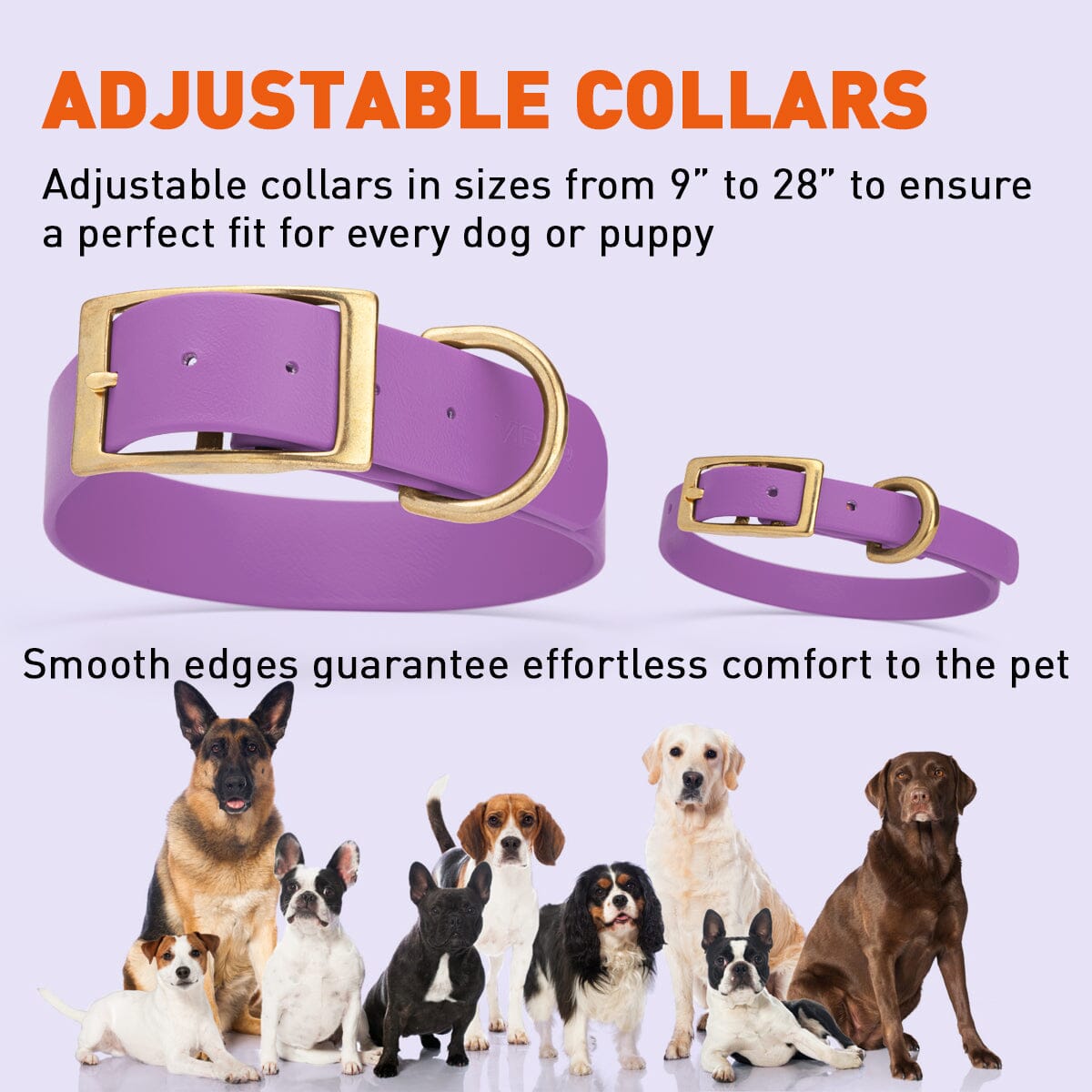 Viper Biothane Waterproof Dog Collar - Brass Hardware - 1.5in Wide, Size XL (20 to 24 inches)