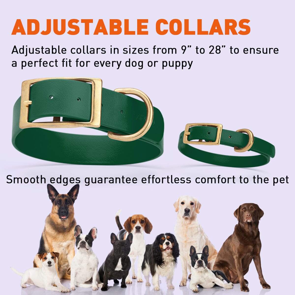 Viper Biothane Waterproof Dog Collar - Brass Hardware - Size XS (9 to 12 inches)
