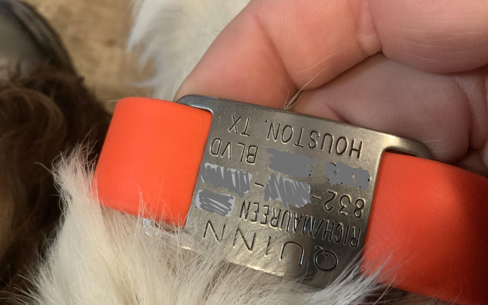 <p><strong>Slide On Dog ID Tags</strong></p>