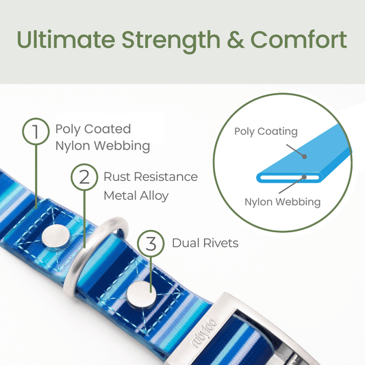 Waterproof Dog Collars – Washable Dog Collar, Stink-Proof & Durable