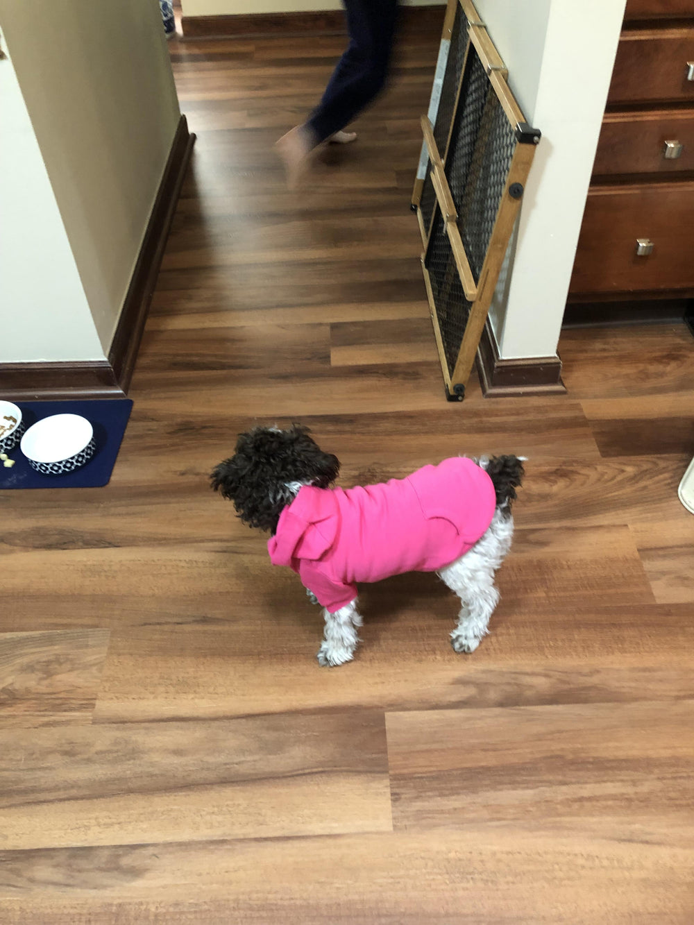 dog hoodie happy customer pink dog hoodie
