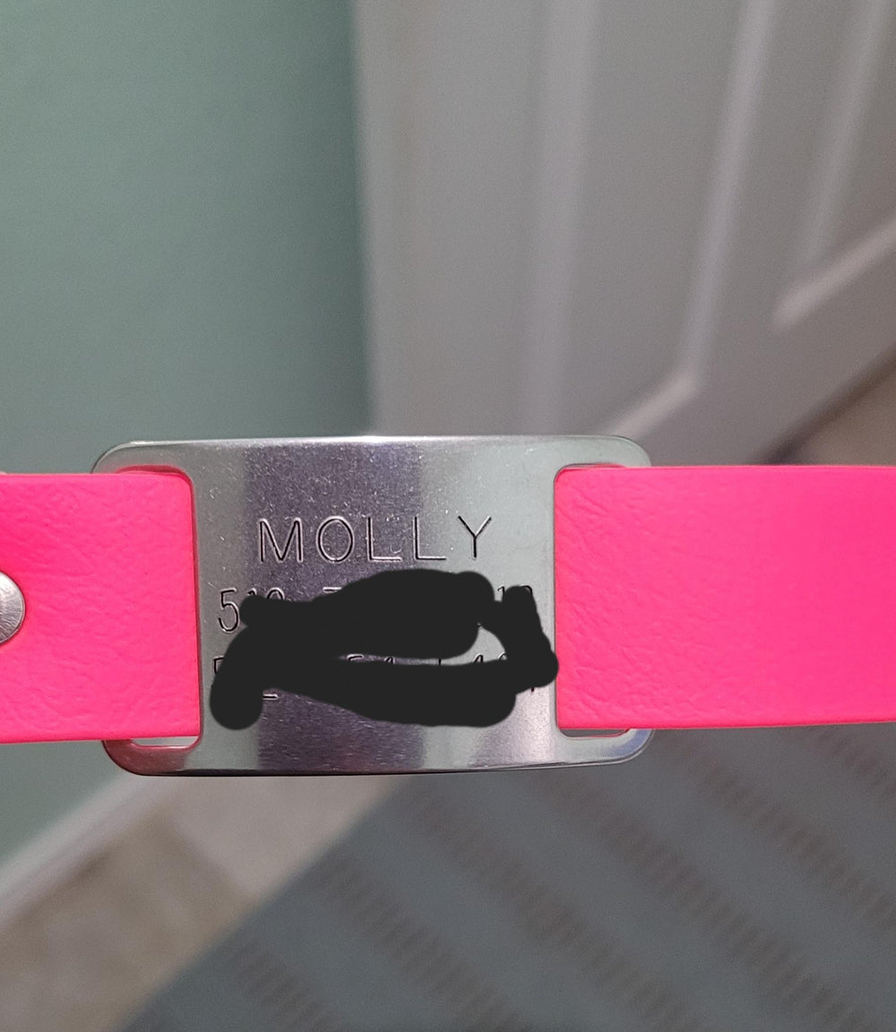 <p><strong>Slide On Dog ID Tags</strong></p>