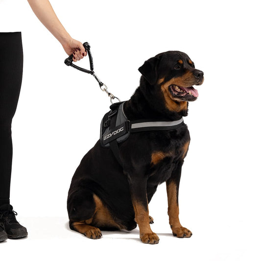 EzyDog Mongrel Leash | Training & Control Leash