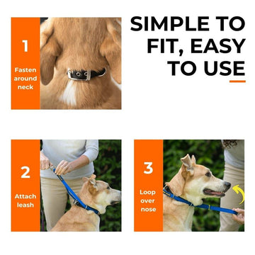Canny Collar No Pull Dog Collar Gentle Effective Dog Control