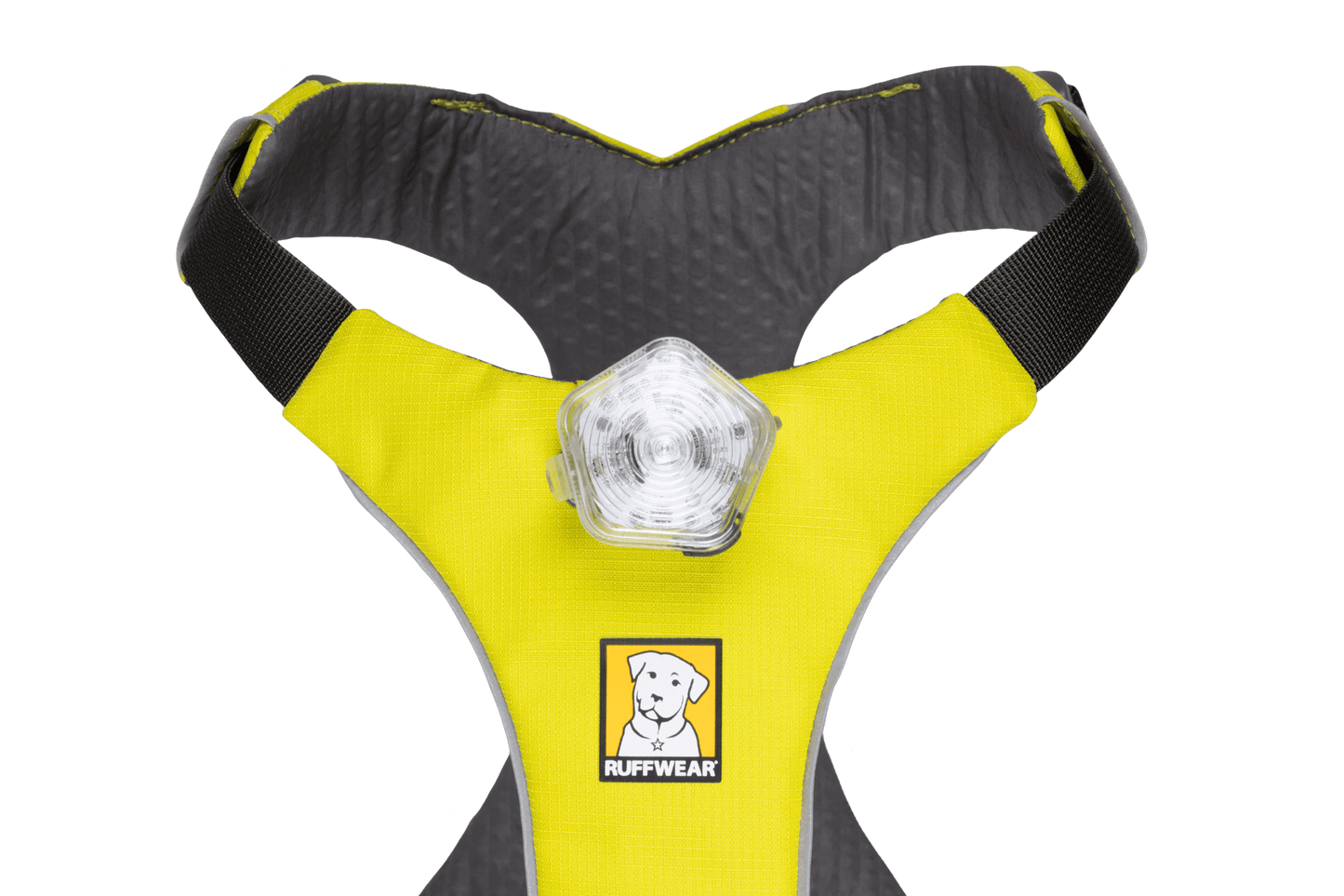 Omnijore Dog Skijoring Setup - Everything You Need