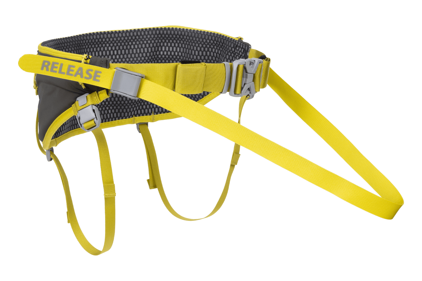 Omnijore Dog Skijoring Setup - Everything You Need