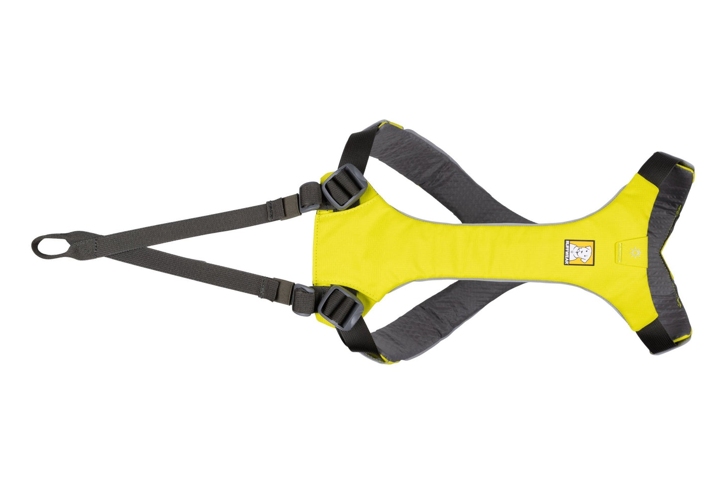 Omnijore Dog Skijoring Setup - Everything You Need