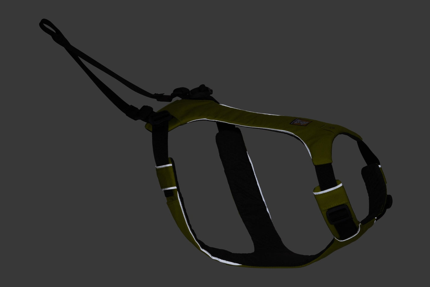 Omnijore Dog Skijoring Setup - Everything You Need