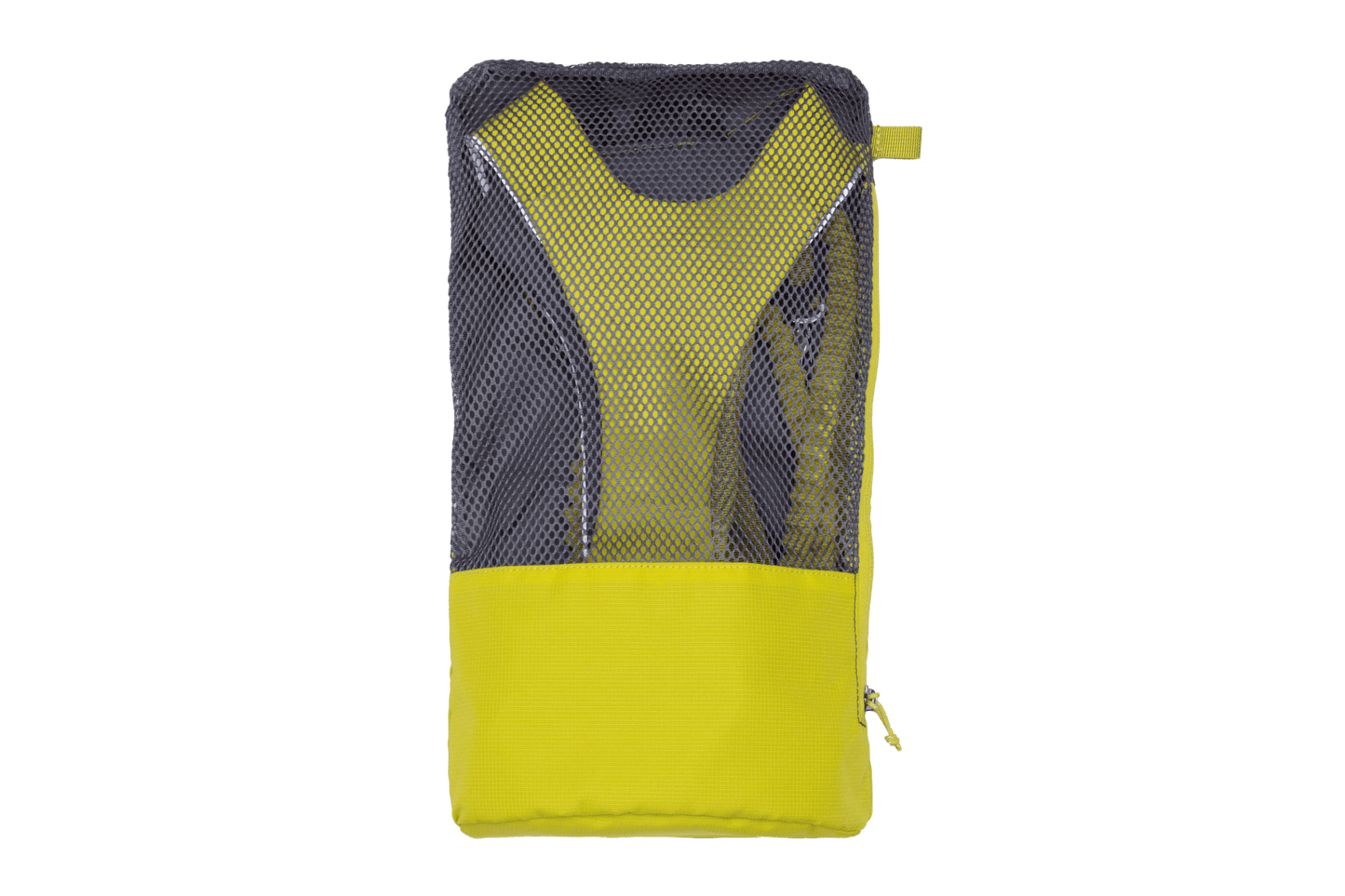 Omnijore Dog Skijoring Setup - Everything You Need