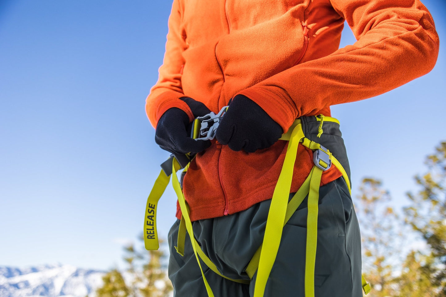 Omnijore Dog Skijoring Setup - Everything You Need