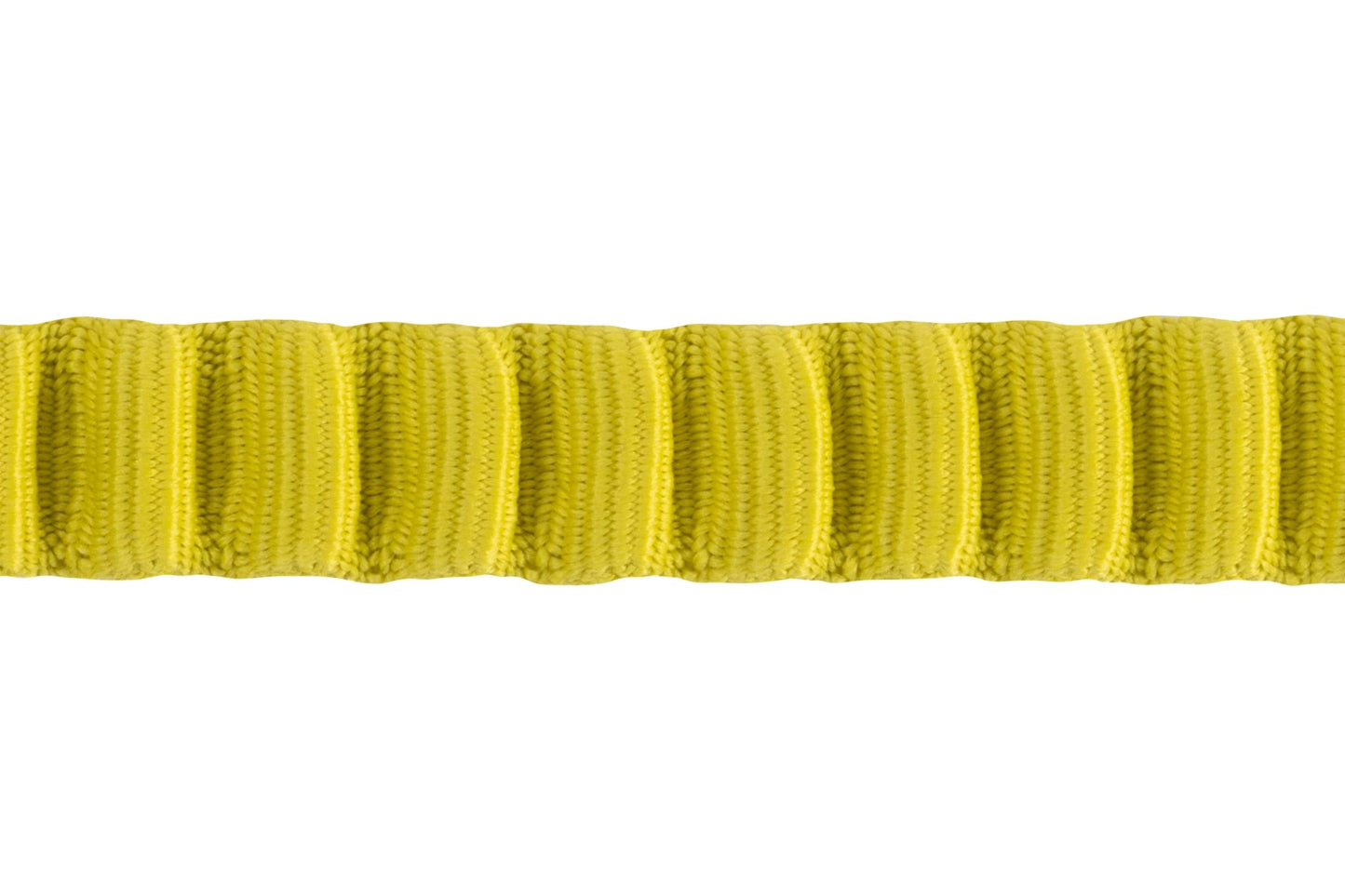 Omnijore Dog Skijoring Setup - Everything You Need