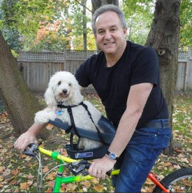 dog buddy bike seat