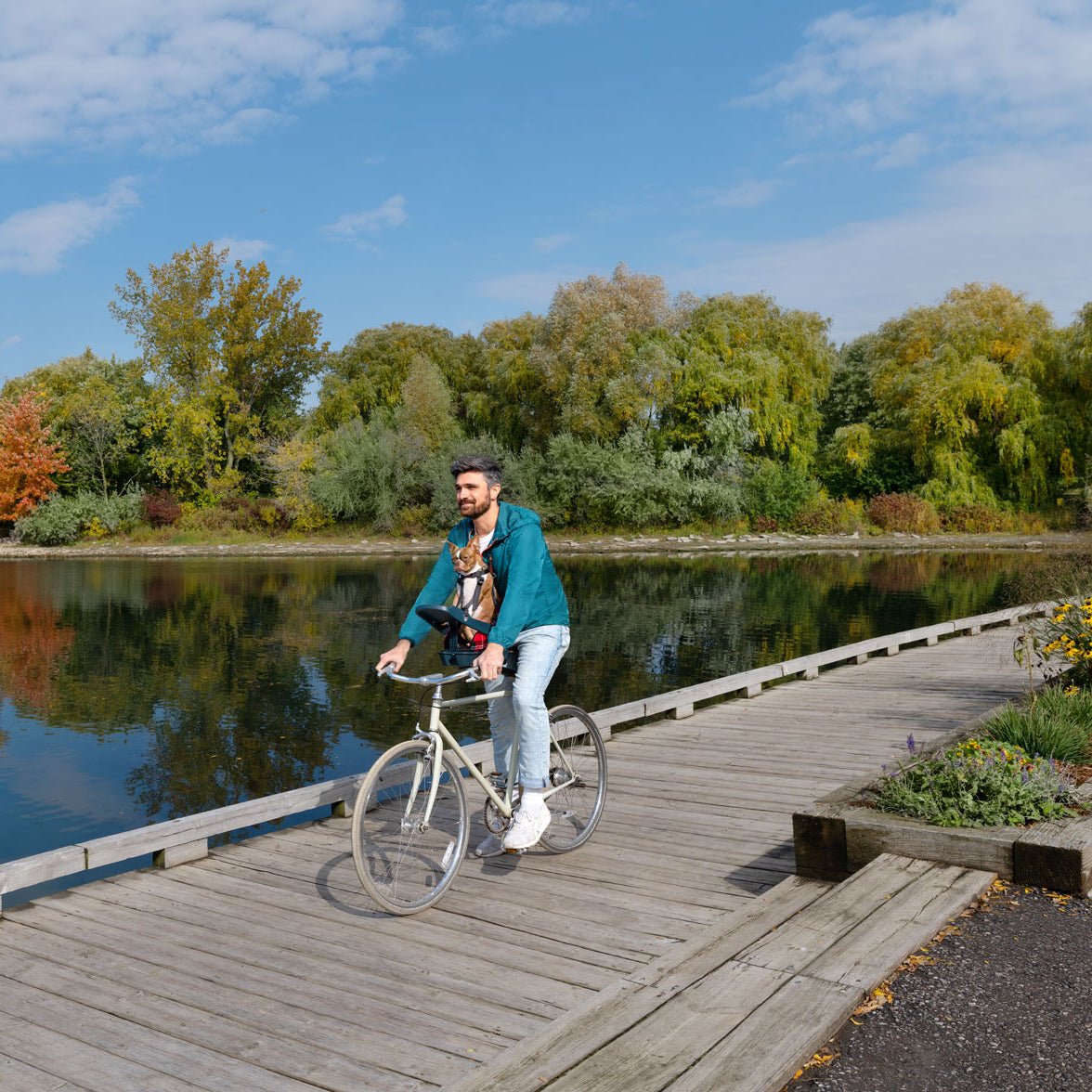 Buddyrider Series 2 Dog Bicycle Seat | Dog Bike Seat For Dogs Up To 25 ...