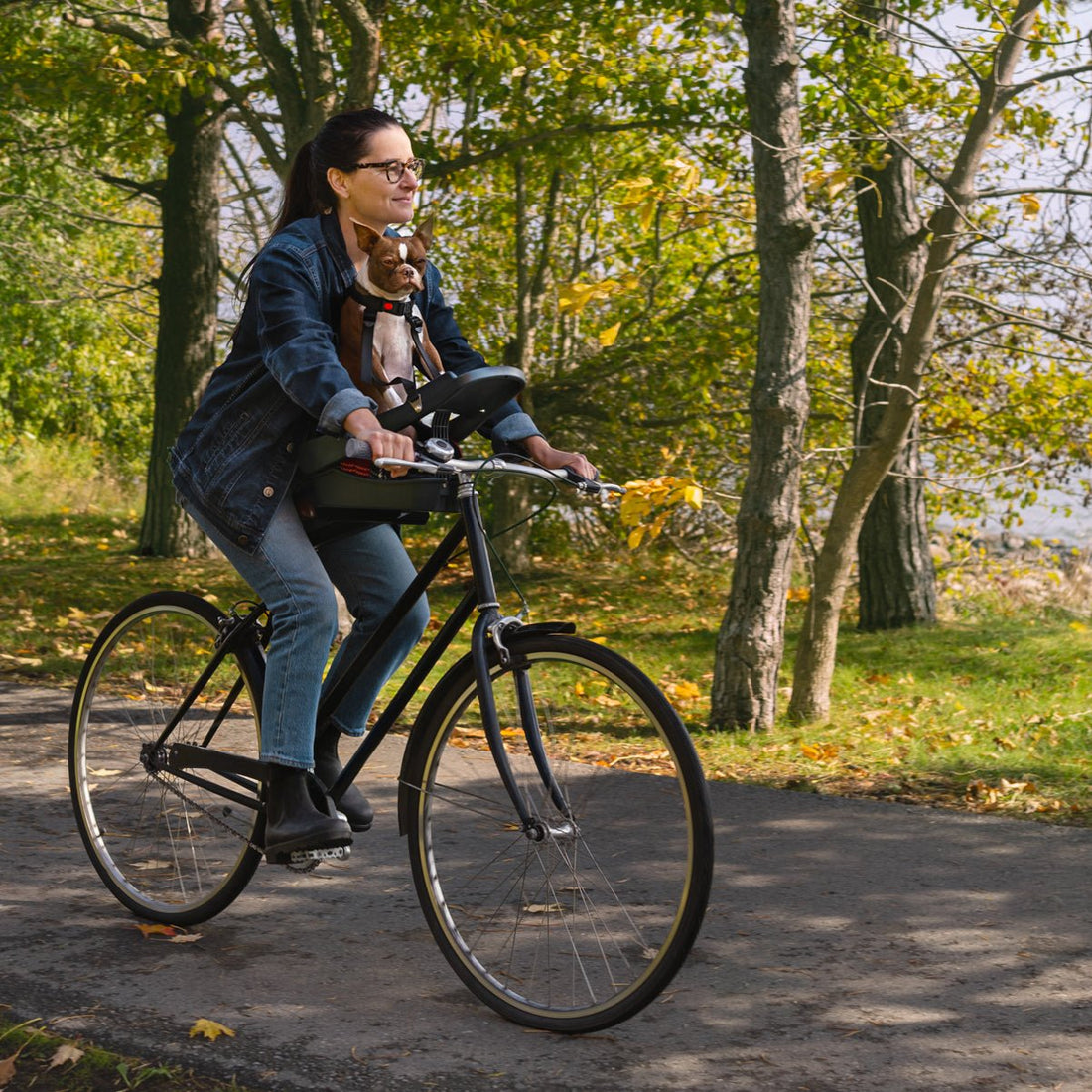 Buddyrider Series 2 Dog Bicycle Seat | Dog Bike Seat For Dogs Up To 25 ...