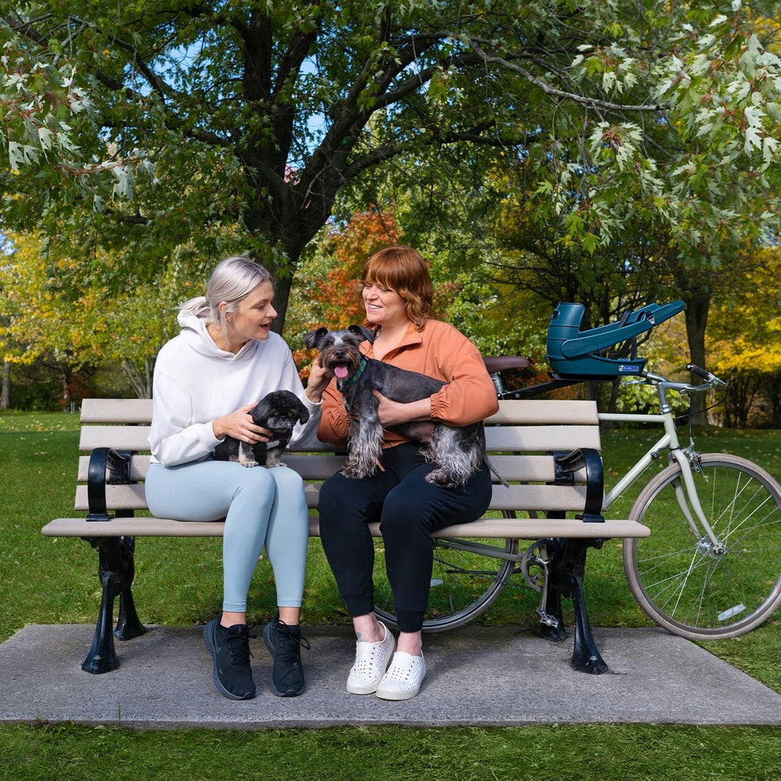 Buddyrider Series 2 Dog Bicycle Seat | Dog Bike Seat For Dogs Up To 25 ...