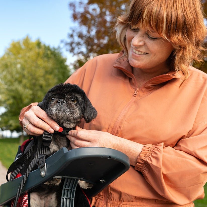 Buddy Rider Buddyrider Dog Bicycle Seat | Safety Dog Bike Seat For Dogs Up To 25 ...