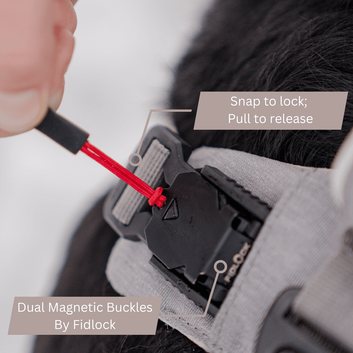 Magnetic Clip Dog Harness – Best for Arthritic Hands, One-Hand Clip, Padded No-Pull Design