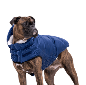 GF PET® Lunar Glow Dog Winter Parka – Sherpa Lined Pearl Finish Puffer Coat with Hood, Water-Repellent Elasto-Fit® Adjustable Fit Jacket for Small, Medium & Large Dogs – Stylish Jewel Tone Dog Apparel