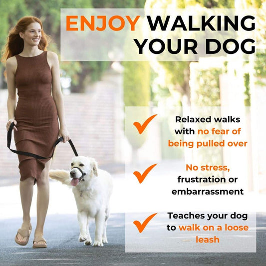 A woman in a brown dress walking a white dog with a head halter on a paved street. Orange text overlay.
