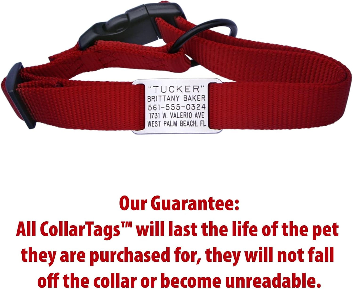 Boomerang CollarTags™ For Adjustable Dog Collars
