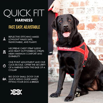 EzyDog Quick Fit Harness – The Dog Outdoors