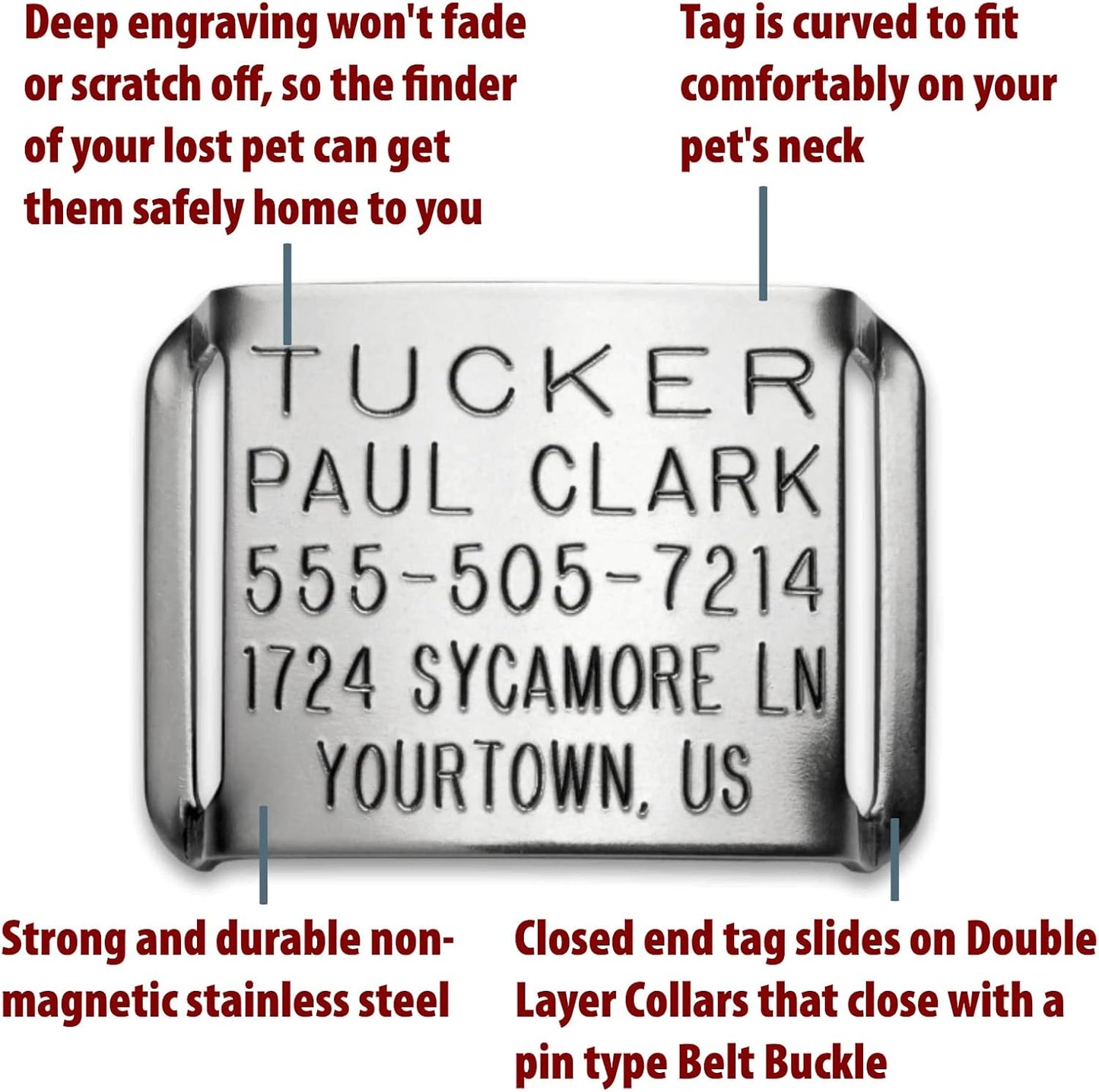 Boomerang Double-Thick Slide On Dog CollarTag™ - Stainless Steel
