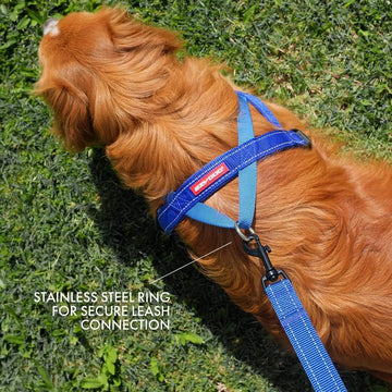 EzyDog Quick Fit Harness – The Dog Outdoors - Main Image