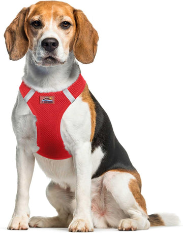 Personalized No-Pull Dog Harness - Classic Blue – Dog Friendly Co