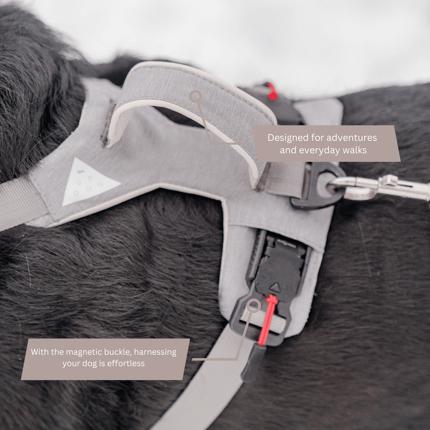 Magnetic Clip Dog Harness – Best for Arthritic Hands, One-Hand Clip, Padded No-Pull Design