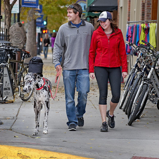 Mendota Pet Snap Leash - British-Style Braided Dog Lead, Made in The USA - Taffy, 1/2 in x 6 ft - for Large Breeds