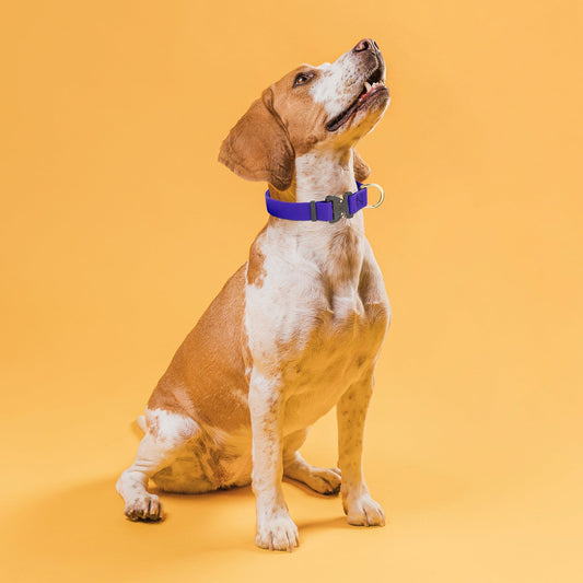 Waterproof Pebble Emboss BioThane Dog Collar with Heavy Duty Cobra Buckle