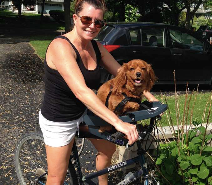 Buddy Rider Buddyrider Dog Bicycle Seat Attachment & Accessories | Product Reviews ...