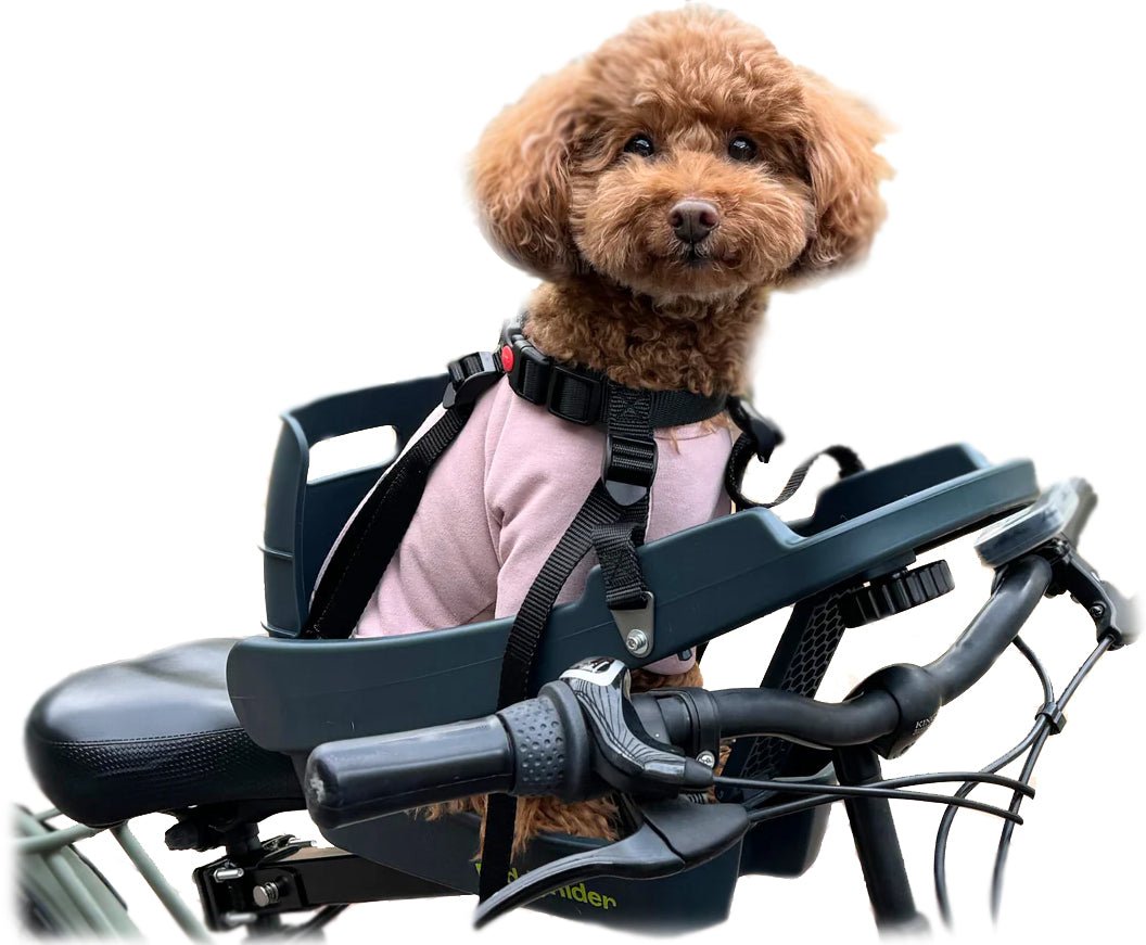 Buddy Rider Buddyrider Series 2 Dog Bicycle Seat | Dog Bike Seat For Dogs Up To 25 ...